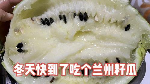 兰州免费吃籽瓜的地方,寻味城市中的甜蜜馈赠”  第2张